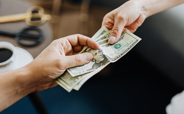 Government Subsidy Schemes